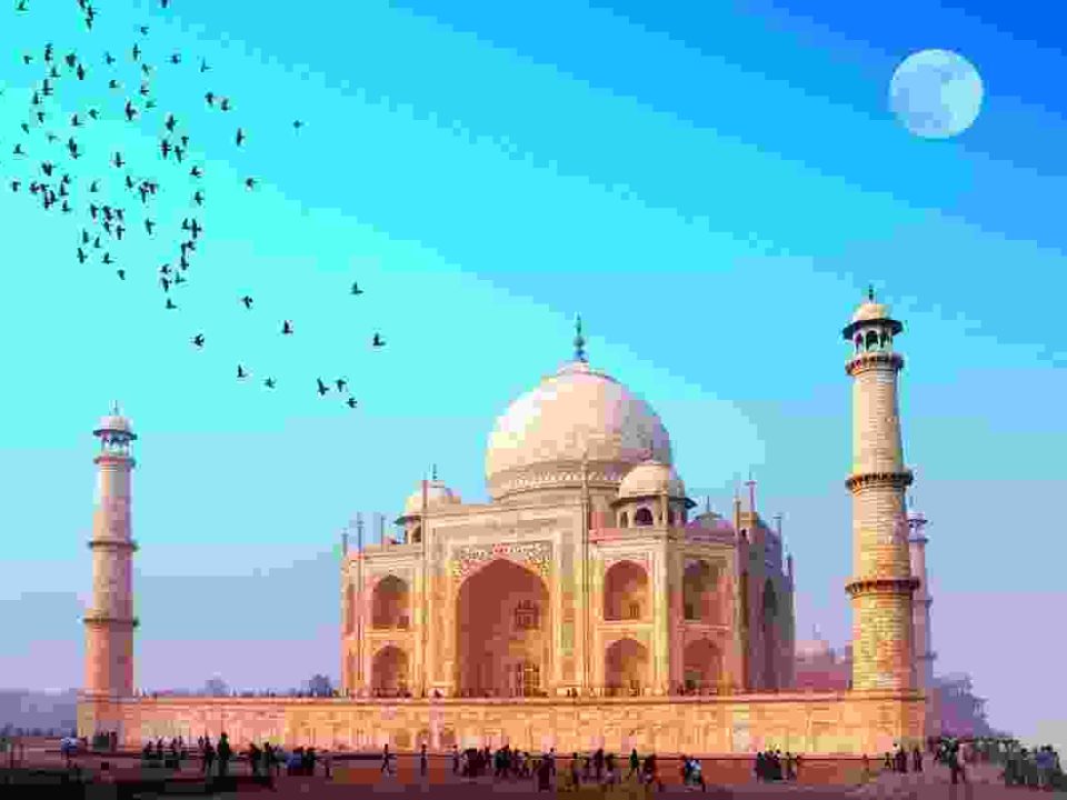 Curabitur nisl lorem