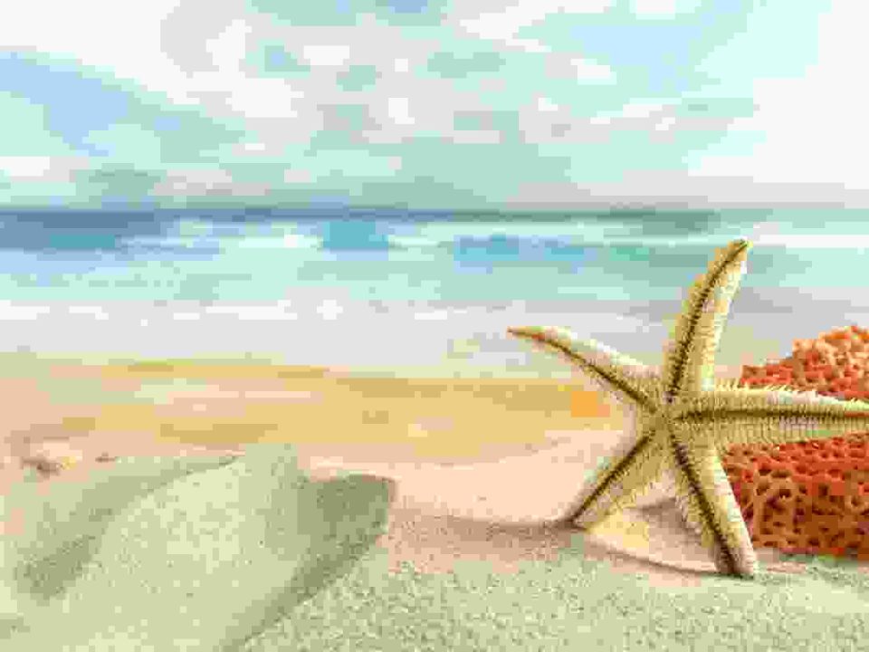 Vivamus ullamcorper enim