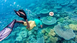wisata-wakatobi.width-800.format-webp